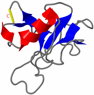 Image NMR Structure - model 1