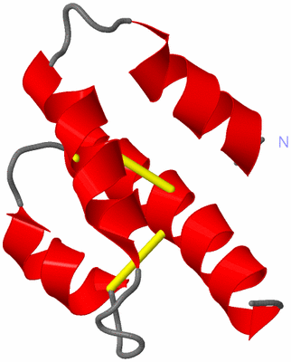 Image NMR Structure - model 1