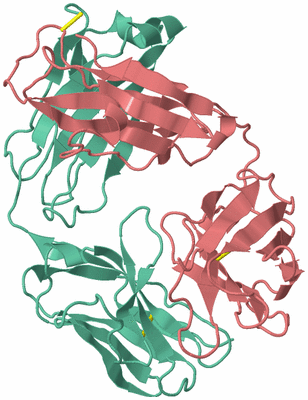 Image Biological Unit 3