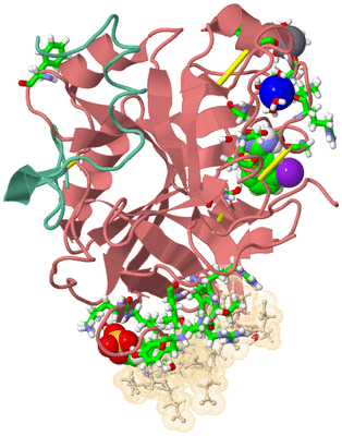 Image Asym./Biol. Unit - sites