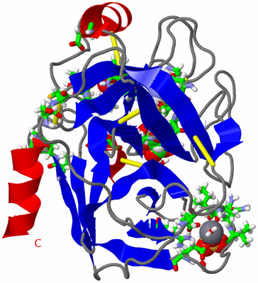 Image Asym./Biol. Unit - sites