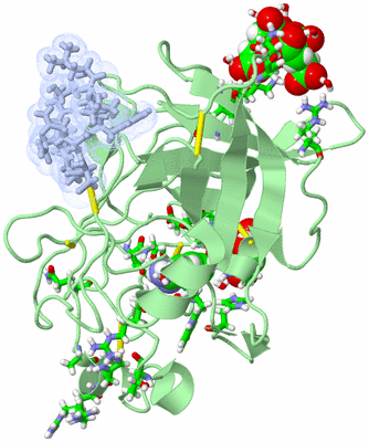 Image Asym./Biol. Unit - sites