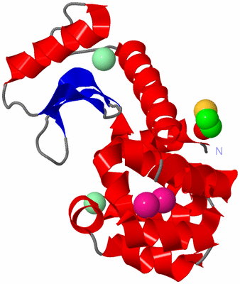 Image Asym./Biol. Unit