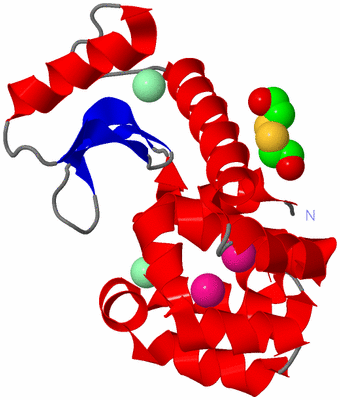 Image Asym./Biol. Unit