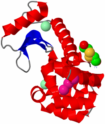 Image Asym./Biol. Unit