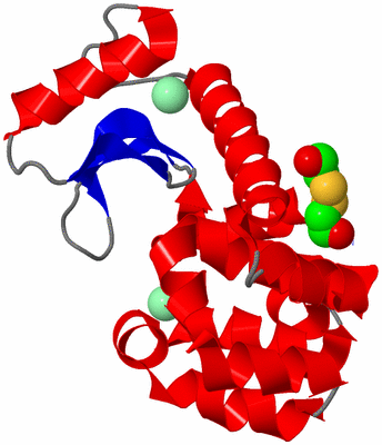 Image Asym./Biol. Unit