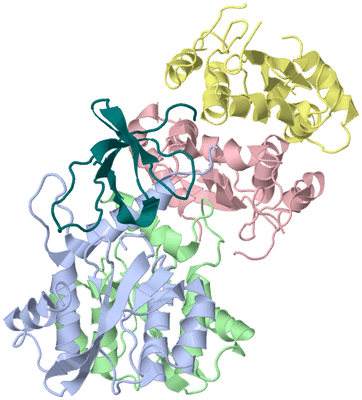Image Asym./Biol. Unit