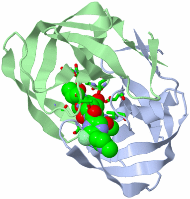 Image Asym./Biol. Unit - sites