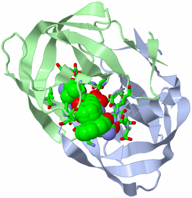 Image Asym./Biol. Unit - sites