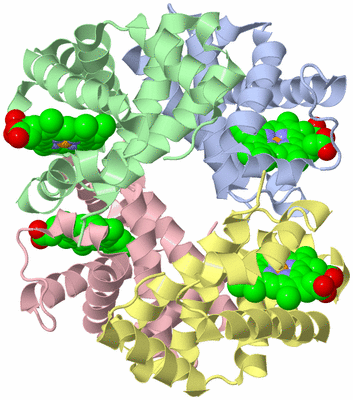 Image Asym./Biol. Unit