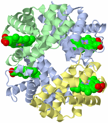 Image Asym./Biol. Unit