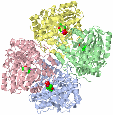 Image Asym./Biol. Unit