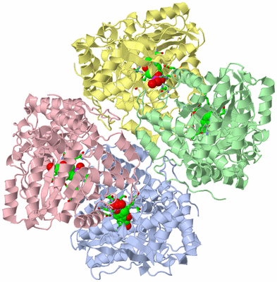 Image Asym./Biol. Unit - sites