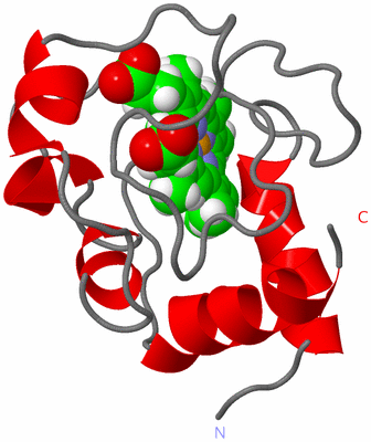 Image NMR Structure - model 1