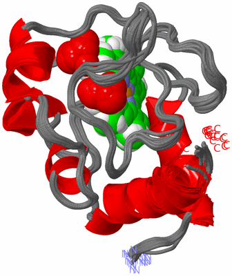 Image NMR Structure - all models