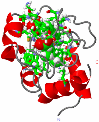 Image NMR Structure - model 1, sites