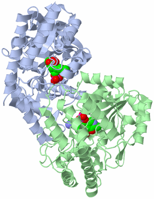 Image Biological Unit 1