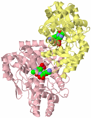 Image Biological Unit 2