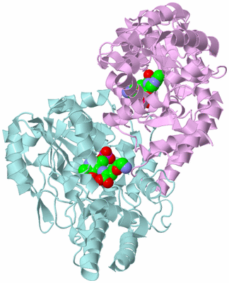 Image Biological Unit 3