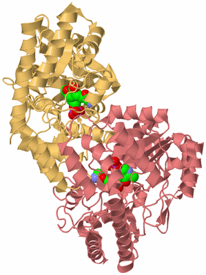 Image Biological Unit 4