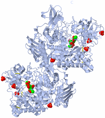 Image Biological Unit 1