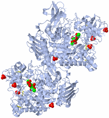 Image Biological Unit 1