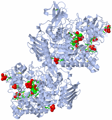 Image Biol. Unit 1 - sites