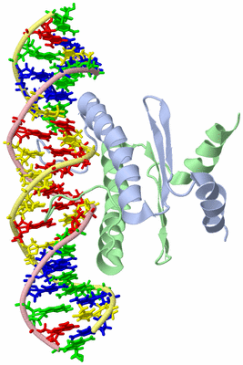 Image NMR Structure - model 1