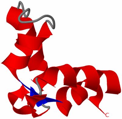 Image NMR Structure - model 1