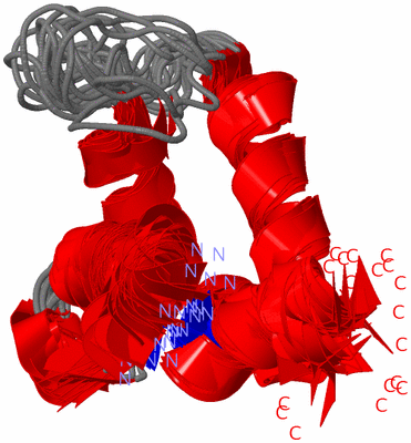 Image NMR Structure - all models