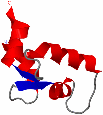 Image NMR Structure - model 1