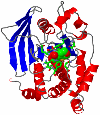 Image Asym./Biol. Unit - sites