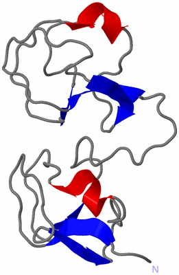 Image NMR Structure - model 1