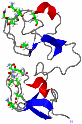 Image NMR Structure - model 1, sites