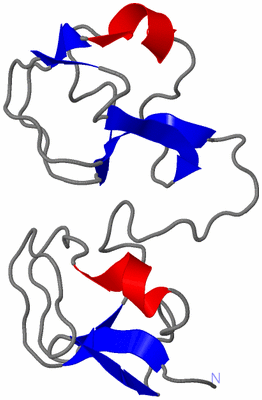Image NMR Structure - model 1
