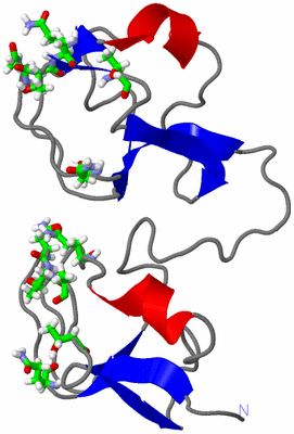 Image NMR Structure - model 1, sites