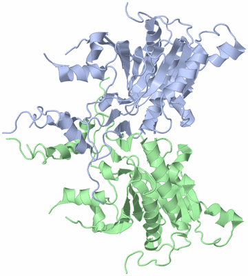 Image Biological Unit 2