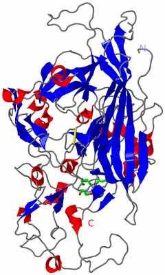 Image Asym. Unit - sites