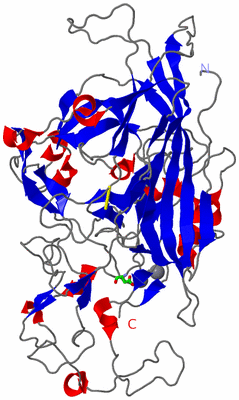 Image Asym. Unit - sites