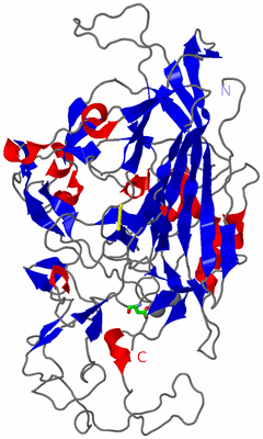 Image Asym. Unit - sites