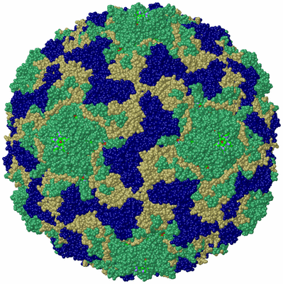 Image Biol. Unit 1 - sites