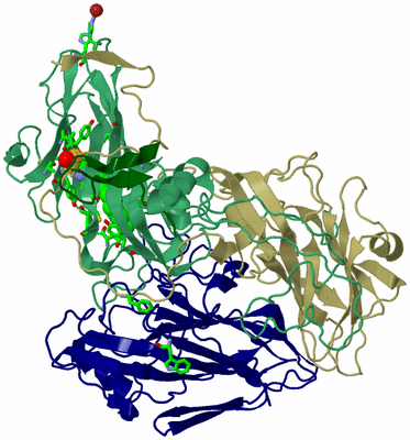 Image Asym. Unit - sites