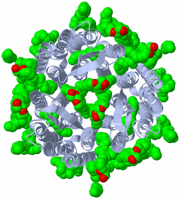 Image Biological Unit 3