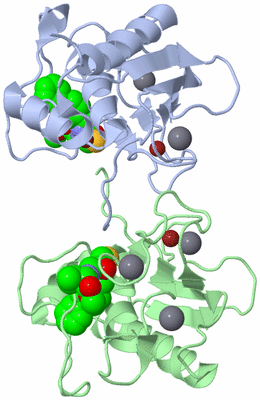 Image Asym./Biol. Unit