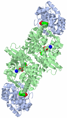 Image Biological Unit 1