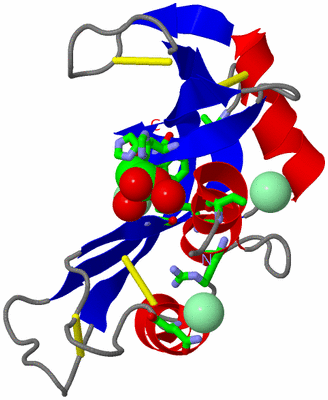 Image Asym./Biol. Unit - sites