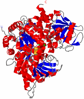 Image Asym./Biol. Unit