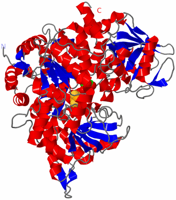 Image Asym./Biol. Unit