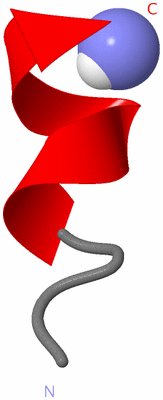 Image NMR Structure - model 1