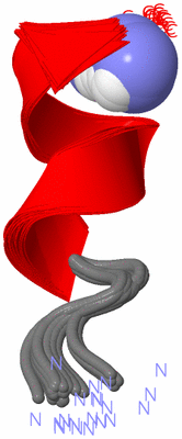 Image NMR Structure - all models